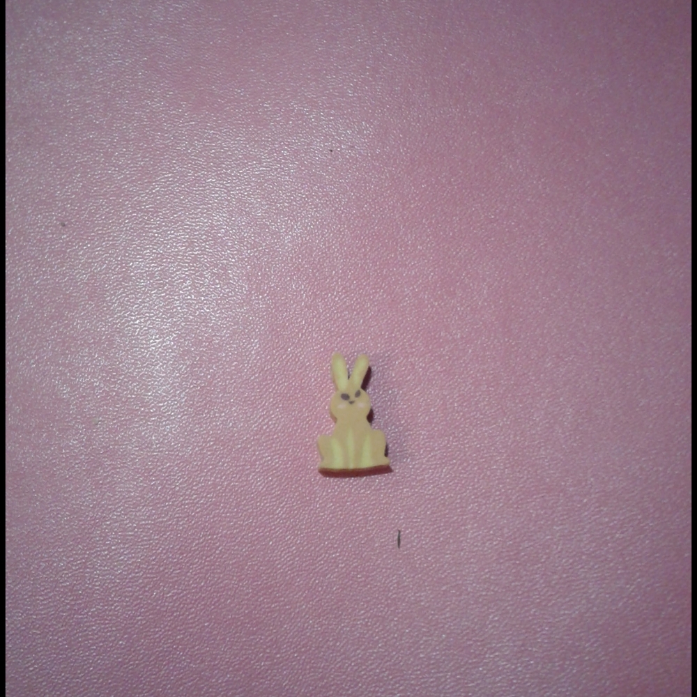 Bunny toy